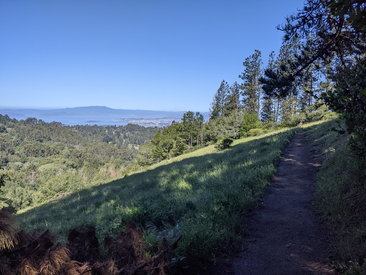 Hike up Vollmer Peak